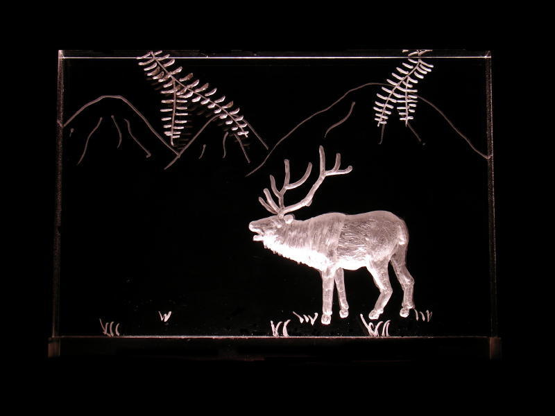 4x6 Elk - $45