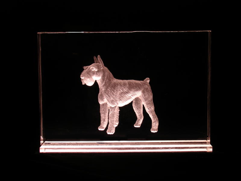4x6 English Terrier - $45