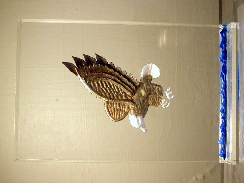 5x7 Eagel - $45