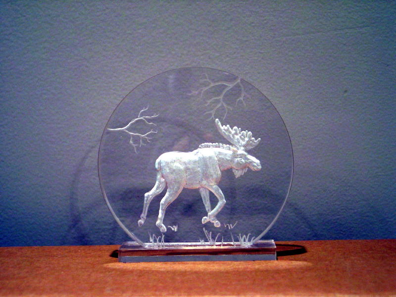 LC Moose - $35