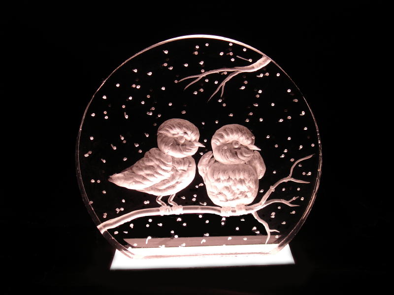 MC Snowbirds - $25
