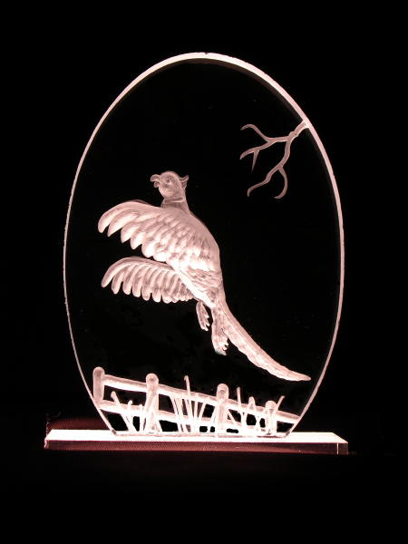 MO Pheasant - $23