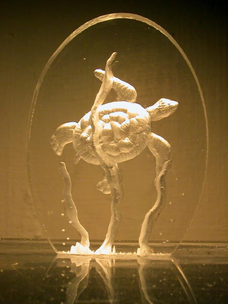 MO Sea Turtle - $23 - Also comes with color