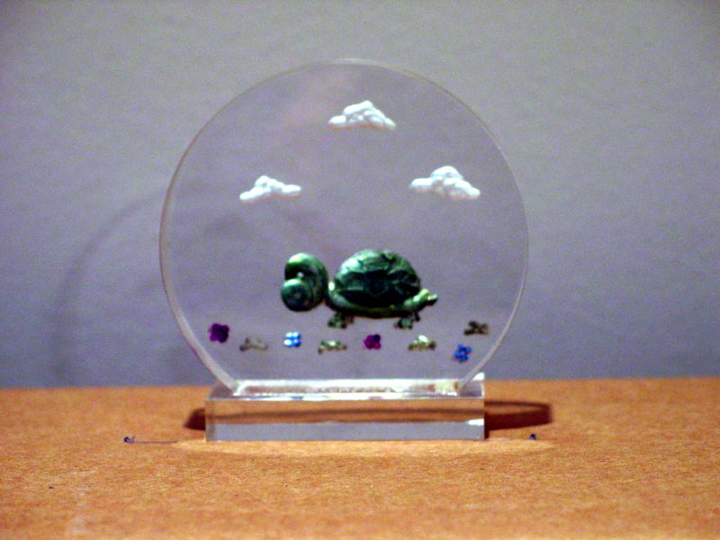 SC Turtle - $21.95