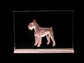 4x6 English Terrier - $45