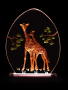 GLO Giraffes - $65