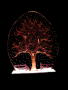 GLO Winter with Snow - $55