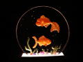LC Goldfish - $35