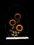 LO Sunflowers - $35
