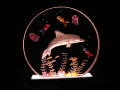 MC Dolphin - $27