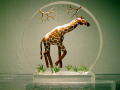 MC Giraffes - $27
