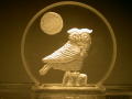 MC Owl - $25