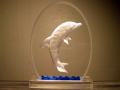 MO Dolphin - $23