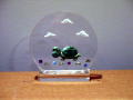 SC Turtle - $21.95
